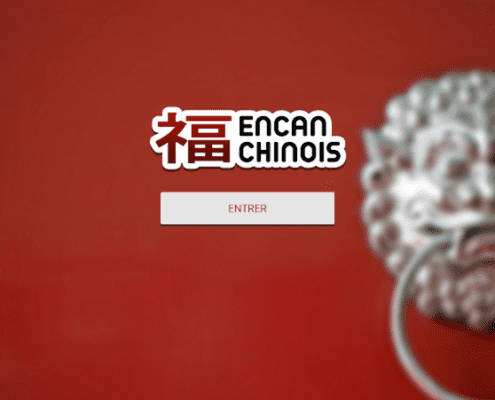 Encan-Chinois.ca - Page d'accueil