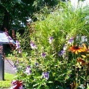 Photo de Saint-Félix-de-Valois - Arrangement de fleurs dans un parc.