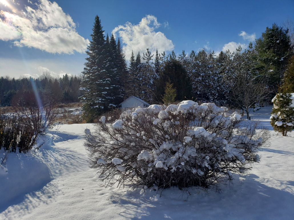 Un paysage d'hiver.